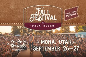 FFestival_Comms_2025_GHQscreen