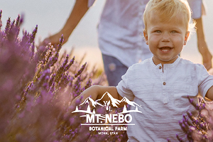 gallery-photo-sessions-300